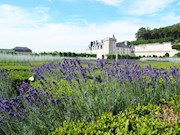 Loire-vallei